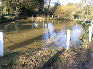 Self catering breaks at Pond Cottage in Yafford, Isle of Wight